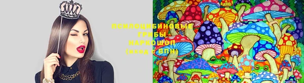 PSILOCYBIN Алзамай
