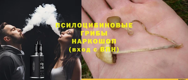 мдпв Абинск