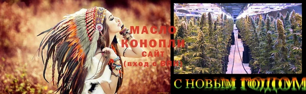 PSILOCYBIN Алзамай