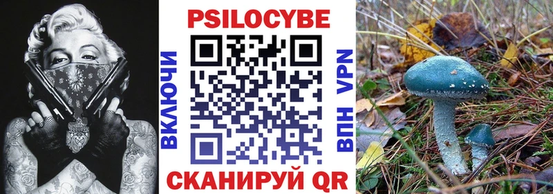 купить  сайты  это клад  Галлюциногенные грибы Magic Shrooms  Грязи 