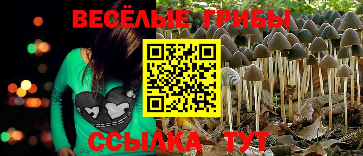 Меф   Грязи  Вход с VPN  Cocaine  МЕТАМФЕТАМИН  Гашиш  МАРИХУАНА 