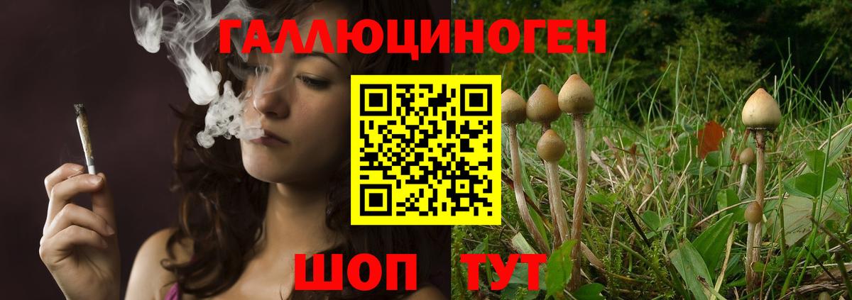 Грязи  Псилоцибиновые грибы мицелий  цена   Вход с VPN  Галлюциногенные грибы MAGIC MUSHROOMS 